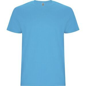 Roly Mens Stafford T-Shirt / Turquoise
